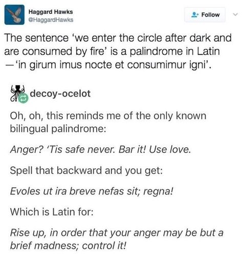 Read Backwards, Summoning Demons, Latin Phrases, Fact Check, The Sentence, Oh Oh, Book Writing Tips, The More You Know, The Circle