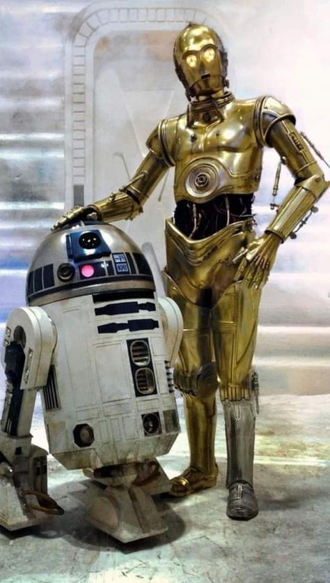 R2-D2 and C-3PO C-3po And R2-d2, C3p0 And R2d2, R2 D2, Star Wars Tattoo Sleeve, Movie Duos, C3po And R2d2, Star Wars Halloween, Star Wars Droids, Star Wars Tattoo