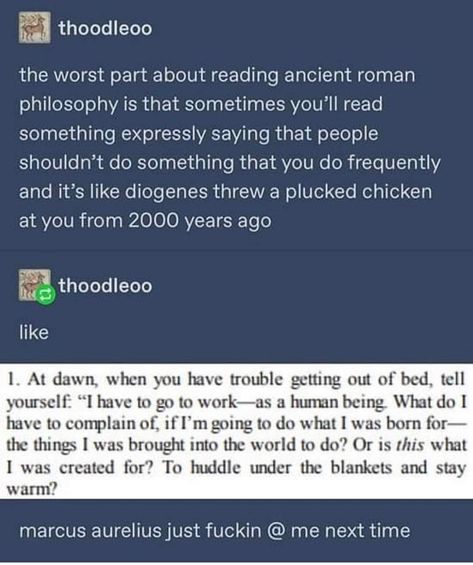 Philosophy Memes, Greek Memes, History Humor, Memes Hilarious, History Facts, Funny Me, Tumblr Posts, Tumblr Funny, Going To Work