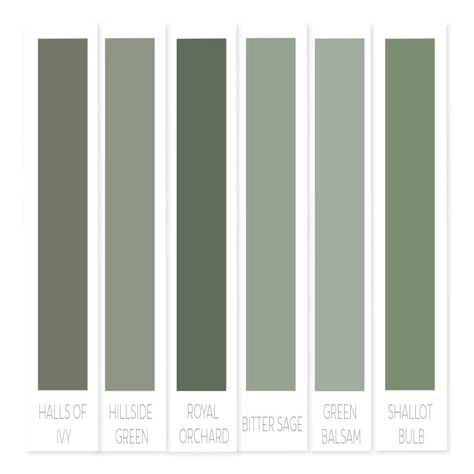 Behr green paint | best green paint colors | best Behr green paint | popular green paint Behr Behr Green Paint, Behr Green Paint Colors, Green Paint Colors Bedroom, Sherwin Williams Green, Sage Green Paint Color, Sage Green Paint, Wood Plank Walls, Behr Paint Colors, Farrow And Ball Paint