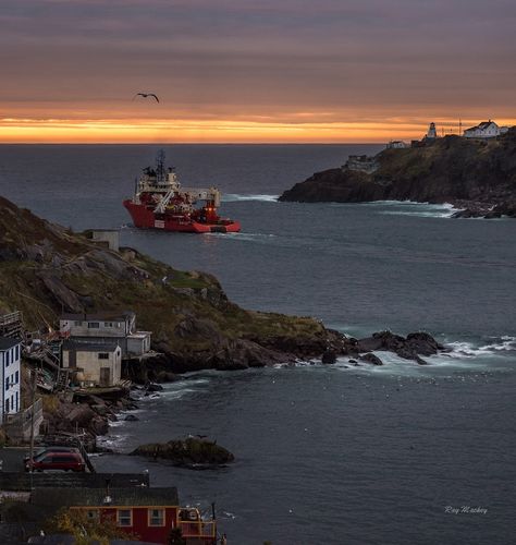 Canada on Instagram: “St. John’s, Newfoundland. Image by @raymackeyphotography #ImagesofCanada⁠” Newfoundland Aesthetic, St Johns Newfoundland, Newfoundland Canada, St Johns, Newfoundland, Dream Destinations, Travel Bucket List, Travel Bucket, Travel Aesthetic