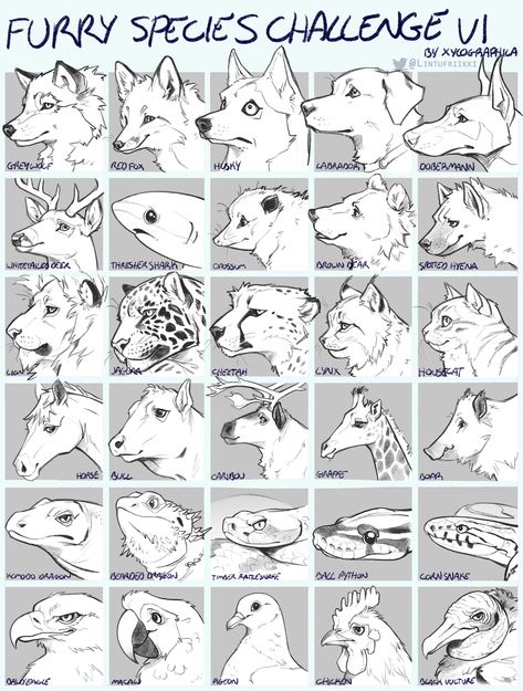 Animal Study, Creature Concept Art, Animal Sketches, Art Tutorials Drawing, Drawing Challenge, Drawing Base, Drawing Reference Poses, Art Inspiration Drawing, Creature Art