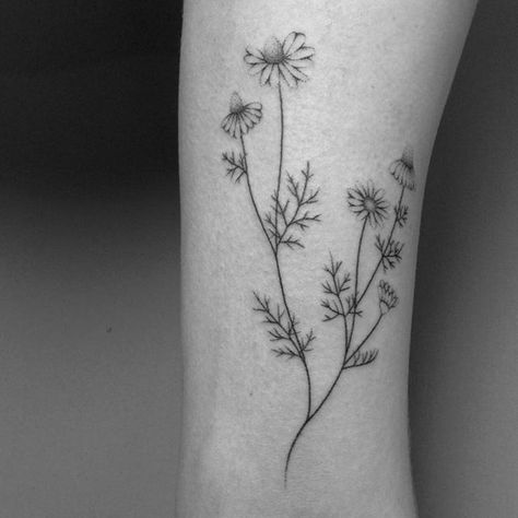 close up handpoked chamomile for josephine taking bookings for quarter 1 2017 in mid of november @cocoschwarz #handpoked #chamomile #tattoo #branchtattoo #flower #flowertattoo #sticknpoke #vegantattoo #handpoke #dotwork #stickandpoke #pointillism #veganink #tattoohamburg #cocoschwarz #laramaju #tattrx #inkstinctsubmission #blackworkers #blackworkerssubmission #blacktattooart #btattooing #iblackwork #equilattera #tattoolookbook #darkartists #hamburgtattoo #tattoohamburg #love #peace #hamburg Vintage Aesthetic Tattoos, Dahlia Tattoo, Flor Tattoo, Timeless Tattoo, Branch Tattoo, Aesthetic Tattoos, Vegan Tattoo, Daisy Tattoo, Pin Up Tattoos