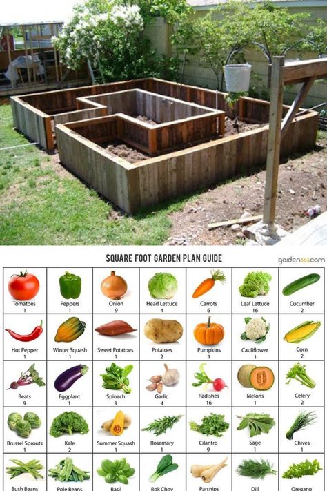 Cheap And Easy Raised Garden Beds, Raised Garden Boxes Layout, Raised Planting Beds, Raised U Shape Garden Bed, Vege Garden Design Raised Beds, How To Build A Raised Bed, Raised Garden Beds Vs In Ground, Veg Garden Layout Raised Beds, Types Of Raised Garden Beds