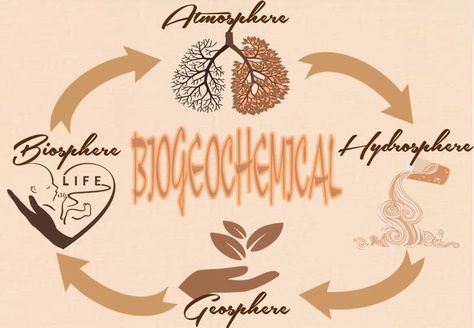 Hello Folks! I want to show you the application of biogeochemical cycle in my life in line with my realization in times of Pandemic. Biogeochemical Cycles, In My Life, My Life, I Want, Home Decor Decals