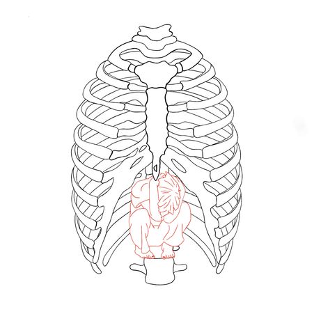 Inner child minimalist tattoo design with rib cage Inner Child Healing Tattoo, Traumatic Childhood Tattoo Ideas, Inner Child Illustration, Inner Child Drawing, Inner Child Tattoo Ideas, Inner Child Healing Art, Inner Child Tattoo, Inner Child Art, Dreamer Tattoo