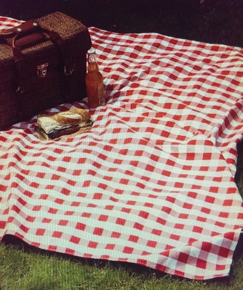 Checkered or plaid red and white picnic blanket or quilt. Red Checkered Blanket, Gingham Picnic Aesthetic, Vintage Picnic Blanket, Cute Picnic Blankets, Picnic Blanket Drawing, Red Gingham Aesthetic, Vintage Picnic Aesthetic, Red Picnic Dress, Picnic Blanket Aesthetic