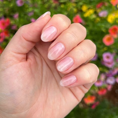 Best 20+ sheer pink nails you must try this year Clear Pink Nails With Design, Sheer Pink Acrylic Nails, Clear Pink Nails, Sheer Pink Nails, Sheer Polish, Sheer Nails, Summer Gel Nails, Pink Gel Nails, Blush Nails