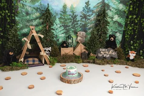 Woodland Theme Cake Smash, Camping Cake Smash, Camping Backdrop, Enchanted Forest Cake, Indoor Camping Party, Christmas Cabin Decor, Woodland Kids Room, Photography Camp, Photography Studio Decor