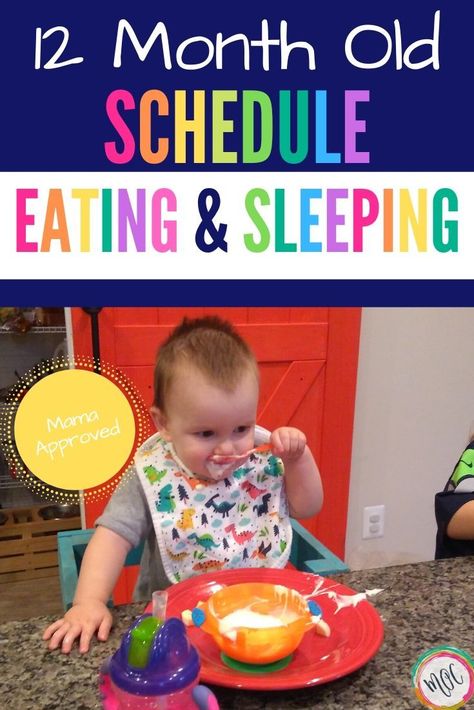 12 month old eating and sleeping schedule. William is sleeping through the night a full 12 hours, he is no longer on bottles, and he takes 2 naps. See his milestones and why he's no longer sleeping in a CRIB!! 12 Month Eating Schedule, 12 Month Old Eating Schedule, 12 Month Old Schedule, Sleeping Schedule, Wonder Weeks, Baby Wise, Toddler Parenting, Baby Routine, Toddler Schedule