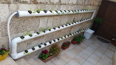 Tower Hydroponics Diy, Hydroponic System Diy, Counter Top Hydroponics, Diy Hydroponic Garden Outdoor, Diy Indoor Grow System, Diy Hydroponics System How To Build, Small Hydroponics System Diy, Easy Hydroponics Diy, Outdoor Hydroponic Garden