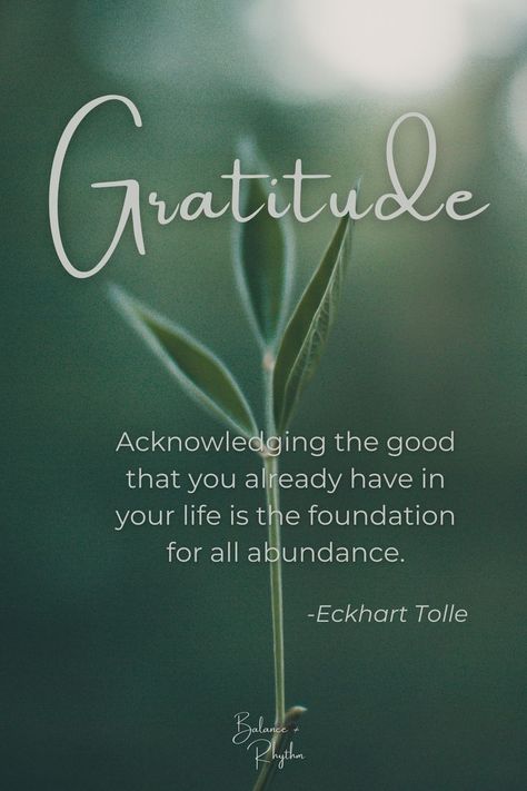 Eckhart Tolle Quotes, Grateful Quotes, Inspiration Quote, Inspirational Quotes God, Van Dijk, Gratitude Quotes, Daily Inspiration Quotes, Mindfulness Meditation, Quotable Quotes