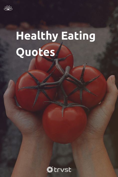 "Healthy Eating Quotes"- Eating offers many benefits we don’t think of. Socially, we gather and build bonds over meals. Aesthetically, we find pleasure in dining and expert plating. But above these benefits, there’s the primary reason for eating; to promote good health. Our selection of healthy eating quotes is set to inspire... #trvst #quotes #mind&body #food #health #wellbeing #wellness #healthy #healthyeating #healthyfood #healthyliving #healthylife #togetherwecan Healthy Meal Quotes, Get Healthy Motivation Quotes, Quotes On Healthy Lifestyle, Happy Eating Quotes, Health And Nutrition Quotes, Vegetables Quote, Clean Eating Quotes, Healthy Motivation Quotes, Diet Inspiration Quotes