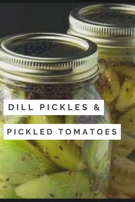 Dill Pickled Green Tomatoes, Pickled Green Tomatoes Recipe, Munchies Recipes, Pickled Green Tomatoes, Kosher Dill Pickles, Pickled Tomatoes, Green Tomato Recipes, Deli Style, Dill Pickles