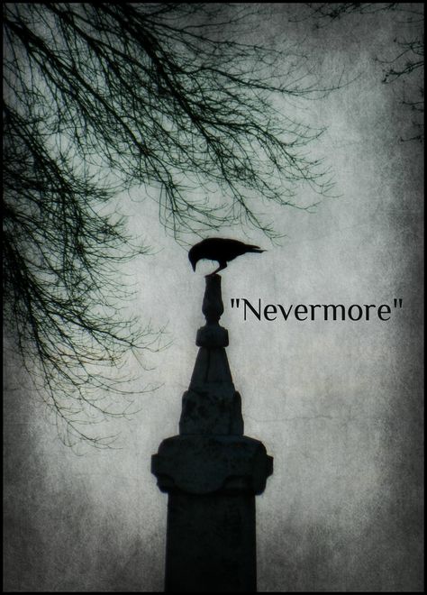 Much I marvelled this ungainly fowl to hear discourse so plainly... Poe Quotes, Quoth The Raven, Edgar Allen, Allen Poe, Edgar Allen Poe, Crows Ravens, The Raven, Edgar Allan, Edgar Allan Poe