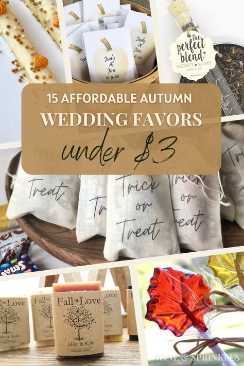 Affordable Fall Favors Under $3 for an Autumn Wedding October Wedding Favors, Fall Favors, Fall Party Favors, Fall Favor, Homemade Wedding Favors, Baby Shower Favors Diy, Fall Brunch, Plant Party, Inexpensive Wedding Favors