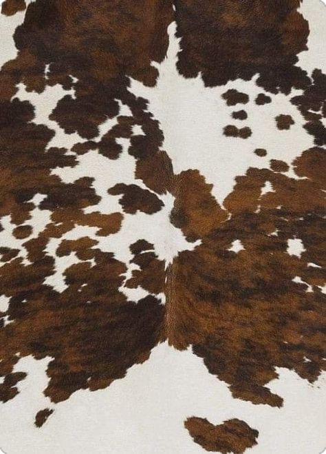 Animal Print Mood Board, Cow Hide Wallpaper, Posters Apartment, Cow Print Aesthetic, Cow Print Background, Cowgirl Core, Phone Makeover, Brown Cow Print, 2025 Moodboard