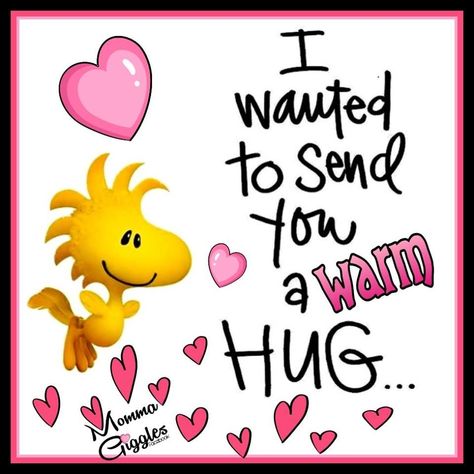 I Wanted To Send You A Warm Hug... Pictures, Photos, and Images for Facebook, Tumblr, Pinterest, and Twitter Valentines Quotes, Peanuts Quotes, Valentines Quotes Funny, Good Morning Hug, Hugs And Kisses Quotes, Special Friend Quotes, Happy Day Quotes, Thinking Of You Quotes, Hug Quotes