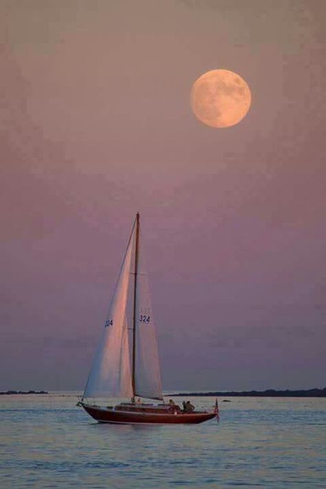 Pretty Sunset Sailboat, Image Zen, Navi A Vela, Moon Rising, Beautiful Moon, Jolie Photo, Alam Yang Indah, In The Ocean, Ponds