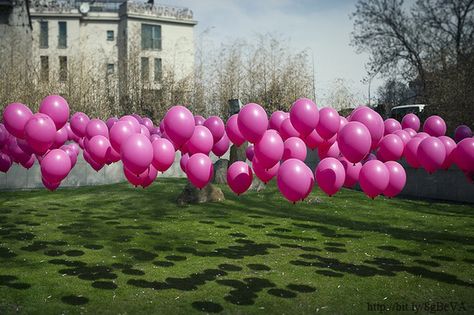 How To Secure Balloons For An Outdoor Event    Looking for a way to secure your balloons at your next outdoor event? Use golf tees to stake balloons to the ground and they will stay put all day and night. Party Hacks, Golf Tees, Party Entertainment, E Card, Grad Parties, Party Planner, Valentin Nap, Party Event, Bday Party