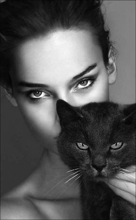 People And Animals, Cut Animals, Cat Cuddle, Cat Pose, Cat Photography, Cat People, Cat Aesthetic, Cat Portraits, 영감을 주는 캐릭터