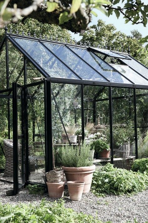 Greenhouse Black, Glass Green House, Best Greenhouse, Build A Greenhouse, Home Greenhouse, Wooden Greenhouses, Backyard Greenhouse, Small Greenhouse, Greenhouse Plans