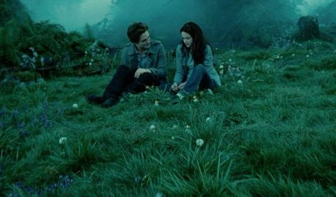 Twilight Meadow, Twilight Wallpaper, Vampire Twilight, Twilight Core, Twilight 2008, Twilight Vibes, Forks Washington, Twilight Cast, Bella And Edward