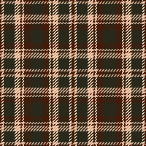 Seamless pattern of scottish tartan plaid. Repeatable background with check fabric texture. backdrop striped textile print. Tartan Aesthetic, Logo Association, Check Fabric Texture, Douglas Tartan, Japanese Workwear, Tartan Design, Textile Print, Check Fabric, Spotify Covers