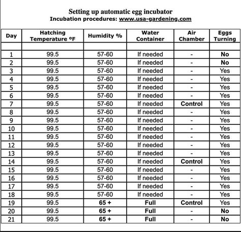 Chicken Incubator, Temperature Chart, Egg Incubator, Barn Style House Plans, Barn Style House, Chicken Eggs, Barn Style, No. 2, Egg