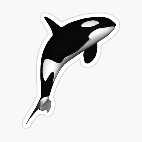 Whale Sticker, Killer Whale, Killer Whales, Independent Artist, Unique Designs, Cricut, Finding Yourself, For Sale