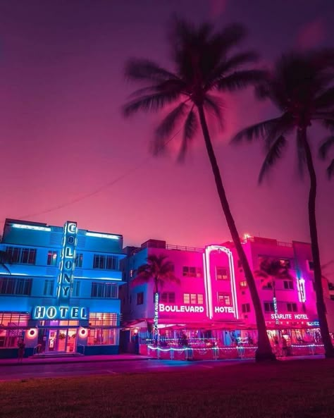 Aesthetic Miami, Miami Wallpaper, Miami Aesthetic, Hotline Miami, Miami Art Deco, Miami Night, New Retro Wave, Downtown Miami, Cyberpunk City