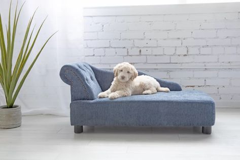 La-Z-Boy Solana Chaise Furniture Dog Sofa Bed | Wayfair Chaise Lounge Dog Bed, Doggie Beds, Bedroom Nook, Elevated Dog Bed, Pet Sofa Bed, Dog Couch, Dog Mommy, Vet Clinic, Tufted Design