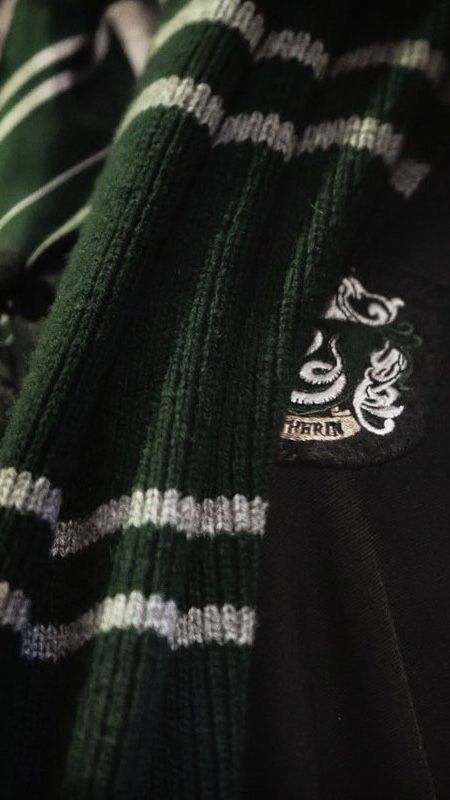 Slytherin Wallpaper, Slytherin Fashion, Draco Malfoy Aesthetic, Slytherin Pride, Images Harry Potter, Dark Green Aesthetic, Slytherin House, Hogwarts Aesthetic, Slytherin Aesthetic