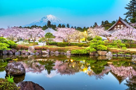 March is on the cusp of winter and spring in Japan, with different parts of the country leaning more towards one than the other. The country's famous cherry blossom parties begin in more southern locations later in the month, when the sakura bloom. Northern parts of the country are still quite wintry, and you can still ski. Here are some important things to know about traveling to Japan in March. March Travel, Anime Events, Cherry Blossom Party, Japanese Countryside, Spring In Japan, Sakura Bloom, City Island, Sea Of Japan, Cherry Blossom Season