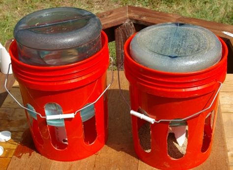 DIY 5 Gallon Water Jug Chicken Feeders - and waterer too... #chickens #homestead #homesteading Farming Chickens, Duck Treats, Duck Waterer, Egg Business, Duck Feeder, Chicken Coups, Chicken Feeder Diy, Chicken Raising, Chicken Farmer