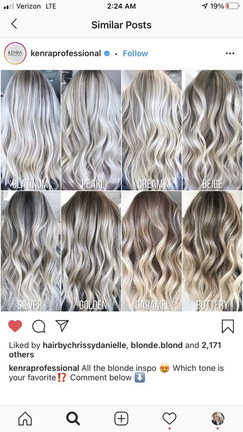 Blonde Frosted Hair, Frost Blonde Hair, Ash Blonde With Platinum Highlights, Frost Hairstyles, Frosted Blonde Hair, Blonde Gray Hair Color Ideas, Hair Ideas Blonde, Blonde Hair Codes, Color Blonde Hair