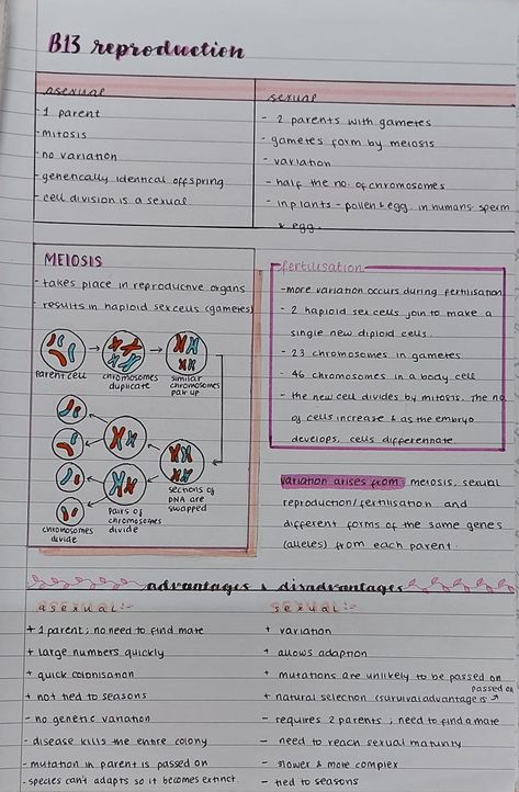 Reproduction Biology Notes, Aqa Biology Gcse, Reproduction Notes Biology, Class 10 Reproduction Notes, Biology Notes Reproduction, Gcse Aqa Biology Revision Notes, Biology Reproduction Notes, Reproduction In Animals Notes, Class 10 Science Notes Biology Reproduction