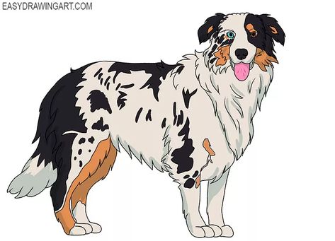 Drawing Art Easy, Australian Shepherd Drawing, Shepherd Drawing, Miniature Aussie, Beginners Drawing, Animals Jokes, Shepherd Art, Line Drawing Art, Cute German Shepherd Puppies