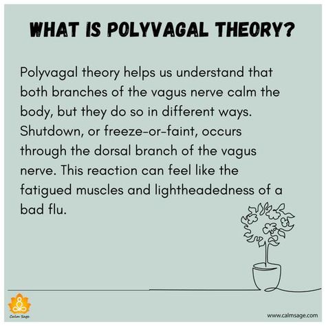 Recently, it has been discovered that the interaction between a few parts of the brain can heavily influence our physical, emotional, and mental health. There has been a lot of discussion on the influence of the vagus nerve, to be very specific. Polyvagal theory has been proved many times throughout history with the results it […] The post What is the Polyvagal Theory? Origin and Polyvagal Exercises appeared first on Calm Sage - Your Guide to Mental and Emotional Well-being. Polyvagal Exercises, Conversion Disorder, Polyvagal Theory, Parts Of The Brain, The Vagus Nerve, Crps Awareness, Grounding Exercises, Reflexology Chart, Radical Acceptance