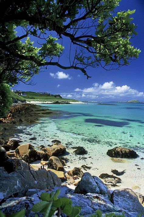 Tresco Abbey Gardens, Visit England, Scilly Isles, Dangerous Roads, Paradise Travel, Lake Baikal, The Catacombs, Travel Uk, Visiting England