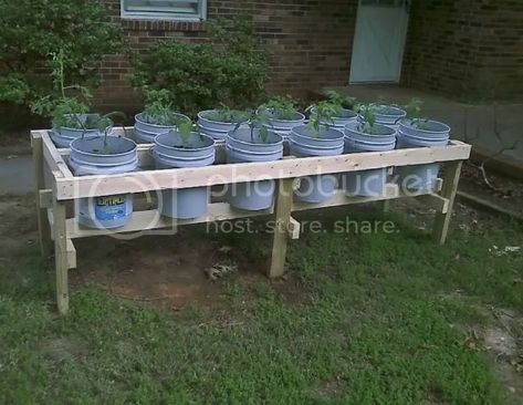 ******* Raised Bed Garden | Homesteading Forum Bucket Raised Garden, Raised Garden Beds Diy Vegetables, Gemüseanbau In Kübeln, Elevated Gardening, Building Raised Garden Beds, Bucket Gardening, Vegetable Garden Raised Beds, Building A Raised Garden, Diy Raised Garden