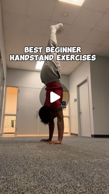 Myles Guillaume | Here are some of the best exercises you can start doing if you are a complete beginner who wants to learn the handstand ✅
⚡️
STARTER... | Instagram How To Do A Handstand For Beginners, Beginner Handstand, Handstand Tutorial, Handstand Training, Calisthenics Training, Calisthenics Workout, Body Weight Training, Best Exercises, Street Workout