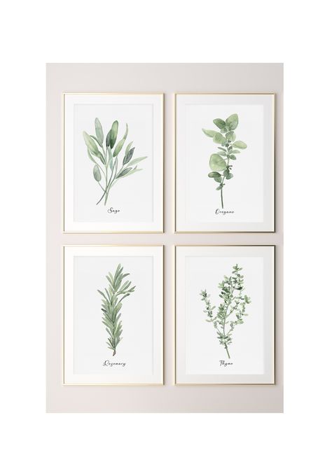 This set of 4 watercolor art prints depicting rosemary, oregano, thyme and sage belongs to my latest collection of kitchen herbs I painted in early 2022. These minimalist plants in muted sage green will perfectly correspond with walls painted in earthy colors. They will be ideal for creating a cosy and welcoming kitchen or dining room, especially in a modern farmhouse. As these prints are available in large American and European poster sizes, they will be suitable for restaurants and hotels as w Herbs Watercolor Paintings, Kitchen Decor Artwork, Sage Green Kitchen Dining Room, Kitchen Art Work Ideas Wall Decor, Watercolor Art For Kitchen, Kitchen Wall Prints Modern, Plant Watercolor Art, Prints For Kitchen Wall Art, Sage Green Dining Room Ideas