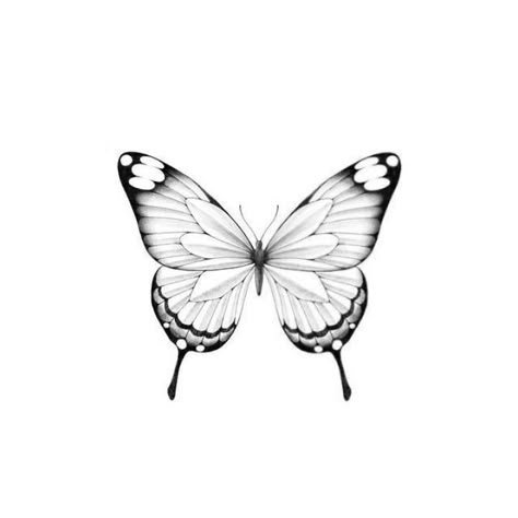 Dotwork Butterfly Tattoo, Fine Line Butterfly Tattoo Design, Butterflies Simple, Butterfly Flash, Black Out Tattoo, Tattoos Pequeños, Tattoo Borboleta, Fineline Tattoo Ideas, Borboleta Tattoo