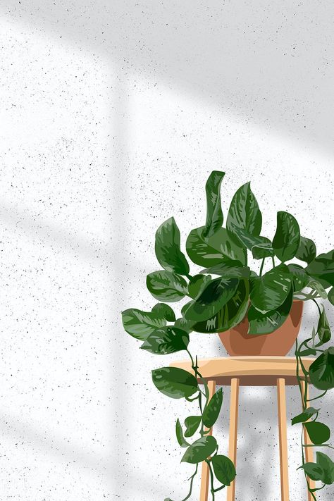 Indoor plant background aesthetic vector, hanging pothos white wall with natural light | free image by rawpixel.com / Aew Indoor Plants Photoshoot, Green Leaf Background Aesthetic, Light Green And White Aesthetic, Plant Lockscreen, Plant Aesthetic Wallpaper, Ipad Background Aesthetic, Hanging Pothos, Diy Potted Plants, White Iphone Background