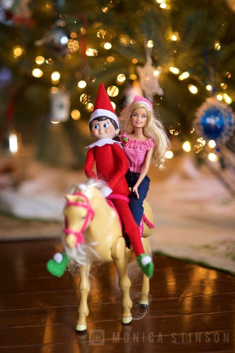 Elf On The Shelf Animal Ideas, Barbie Elf On A Shelf, Elf On The Shelf Horse Ideas, Country Elf On The Shelf Ideas, Elf On The Shelf Ideas With Barbie, Elf On The Shelf And Barbie, Elf On The Shelf With Barbie, Elf On The Shelf Barbie Ideas, Elf And Barbie Ideas