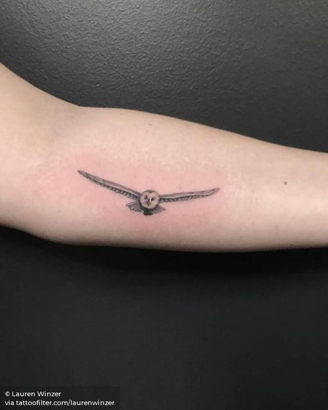 Flying barn owl tattoo Owl In Flight Tattoo, Snowy Owl Tattoo, Flight Tattoo, Hedwig Tattoo, Owl Tattoo Meaning, Barn Owl Tattoo, Realistic Owl Tattoo, Owl Tattoo Drawings, Owl In Flight