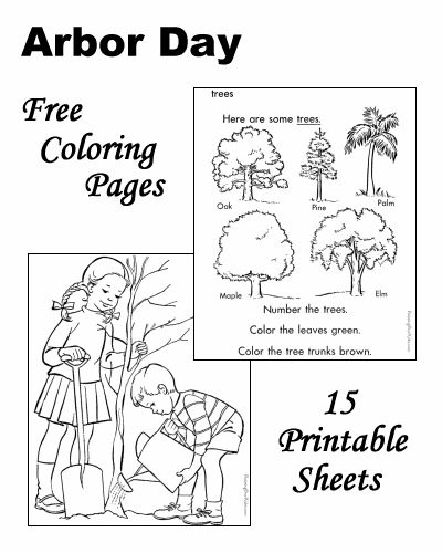 Arbor Day coloring pages! Sunday School Printables, Elementary School Library, Spring Classroom, Arbor Day, Tree Day, Elderly Activities, Tree Coloring Page, Spring Crafts For Kids, Arbour Day