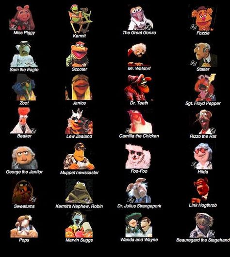 Muppets Muppets Band, Muppet Show Characters, The Muppets Characters, Muppet Characters, Muppets Characters, Dr Teeth, Electric Mayhem, Hulk Character, Secondary Characters