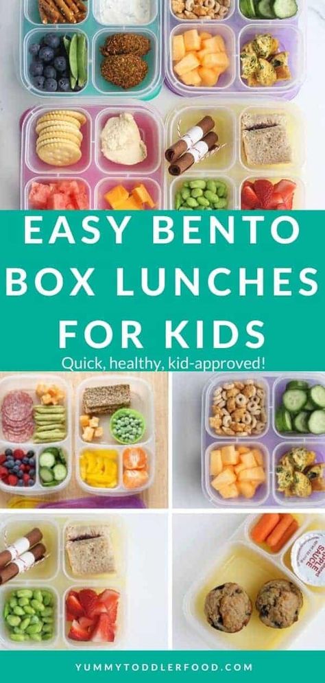 Make it easier to pack lunch for daycare, preschool, and school with easy bento lunch box ideas even picky kids will enjoy! #bentobox #bentolunchbox #kidslunch #toddlerlunch Bento Box Kids Lunch, Bento Lunch Box Ideas For Kids, Lunch For Daycare, Easy Bento Lunch, Preschool Lunch Ideas, Bento Lunch Box Ideas, Easy Bento, Kids Lunch Box Meals, Toddler Lunch Box